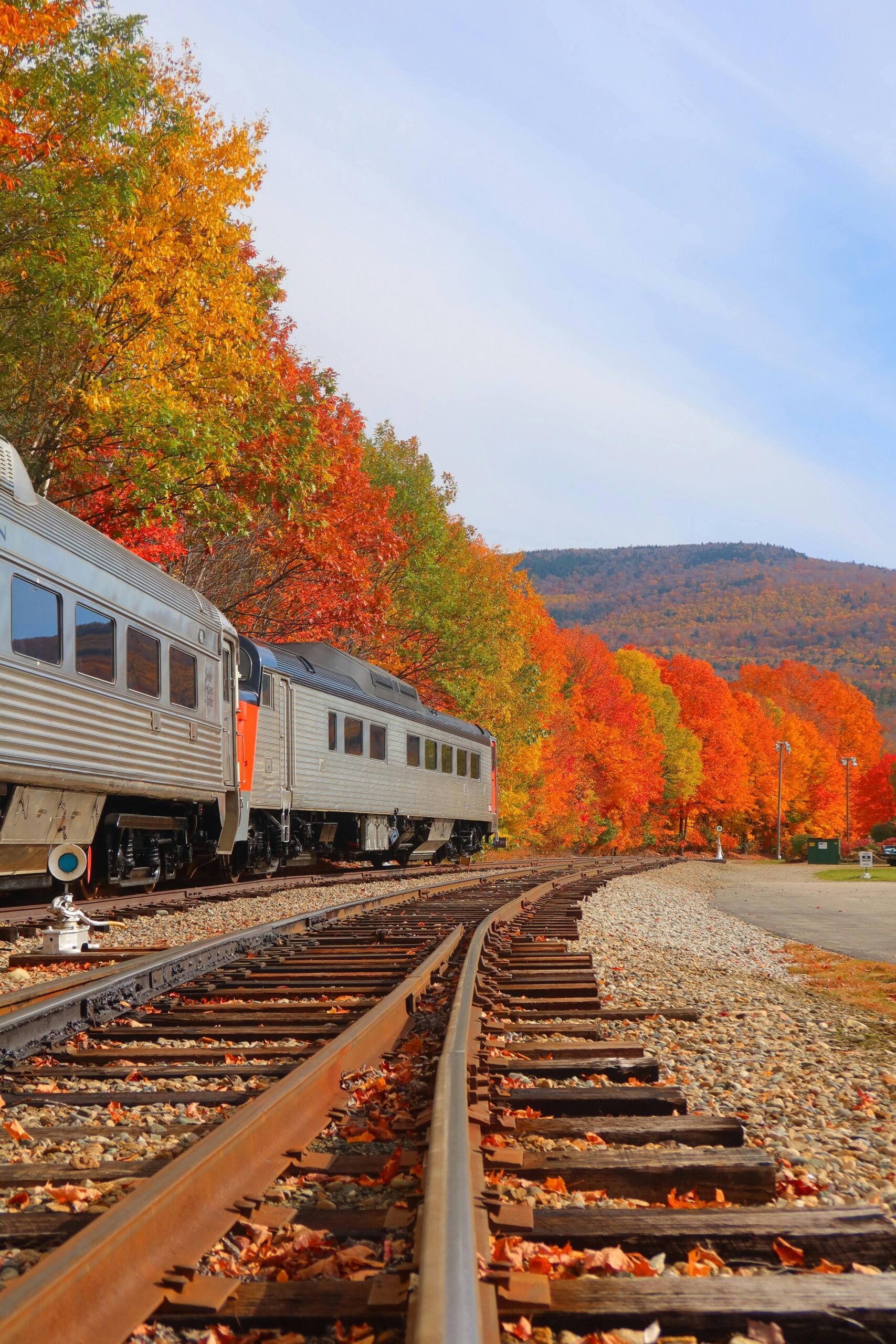 Colorful Trees in Autumn