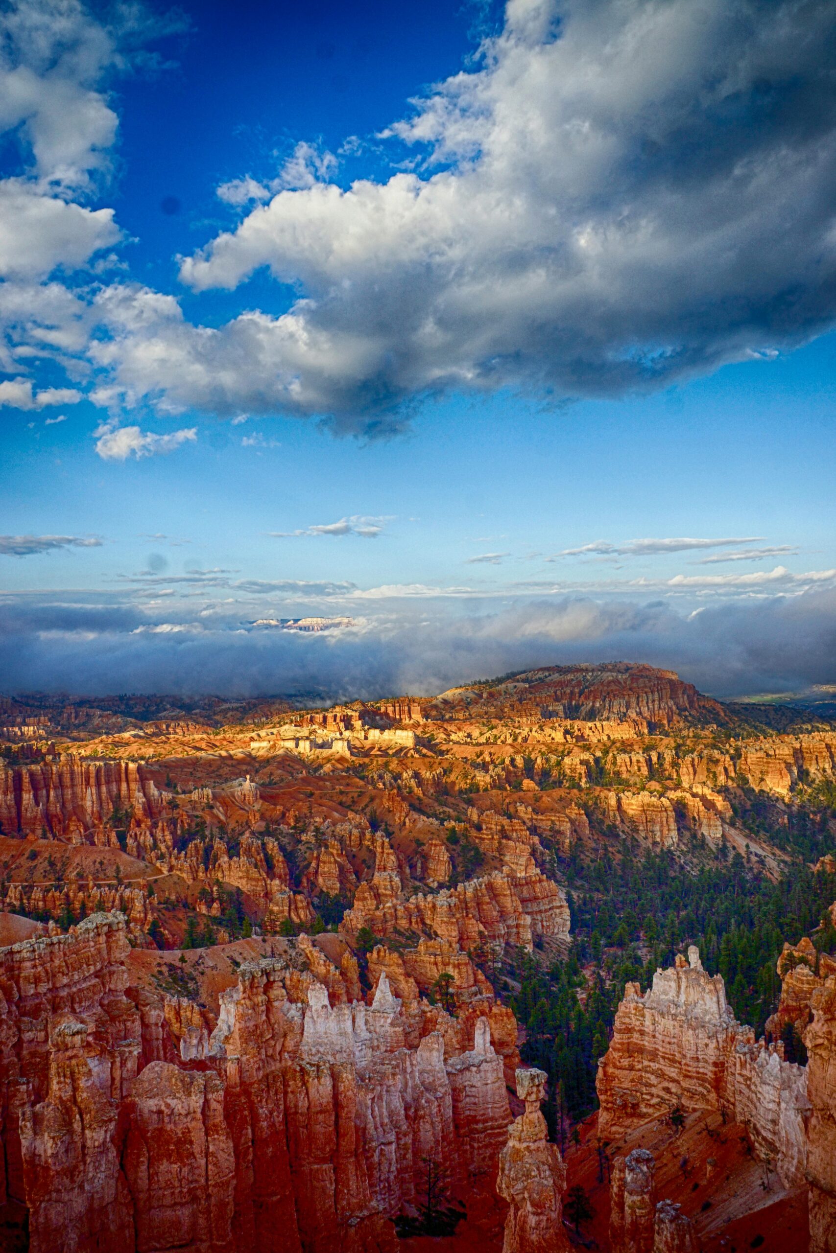 Grand Canyon, Arizona Usa